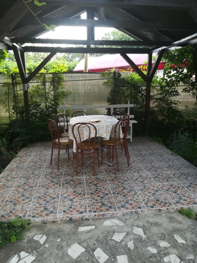 科斯蒂内什蒂 Casa Dalena酒店 外观 照片