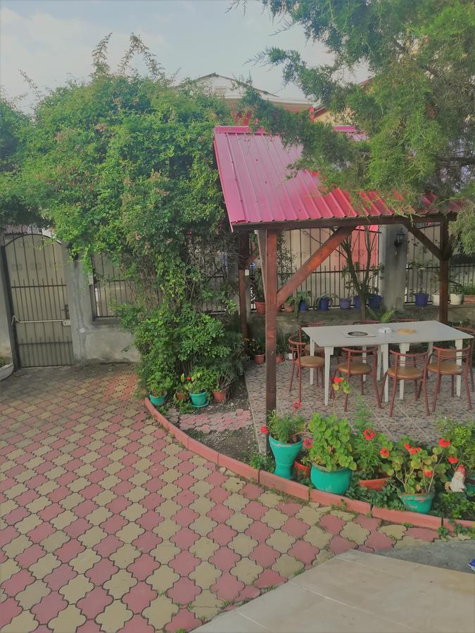 科斯蒂内什蒂 Casa Dalena酒店 外观 照片