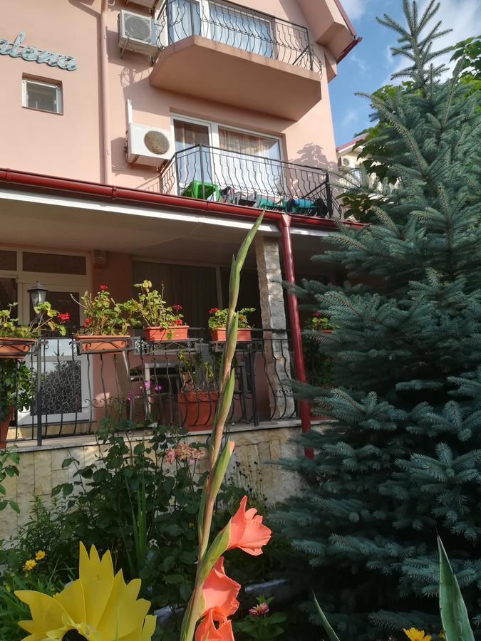 科斯蒂内什蒂 Casa Dalena酒店 外观 照片